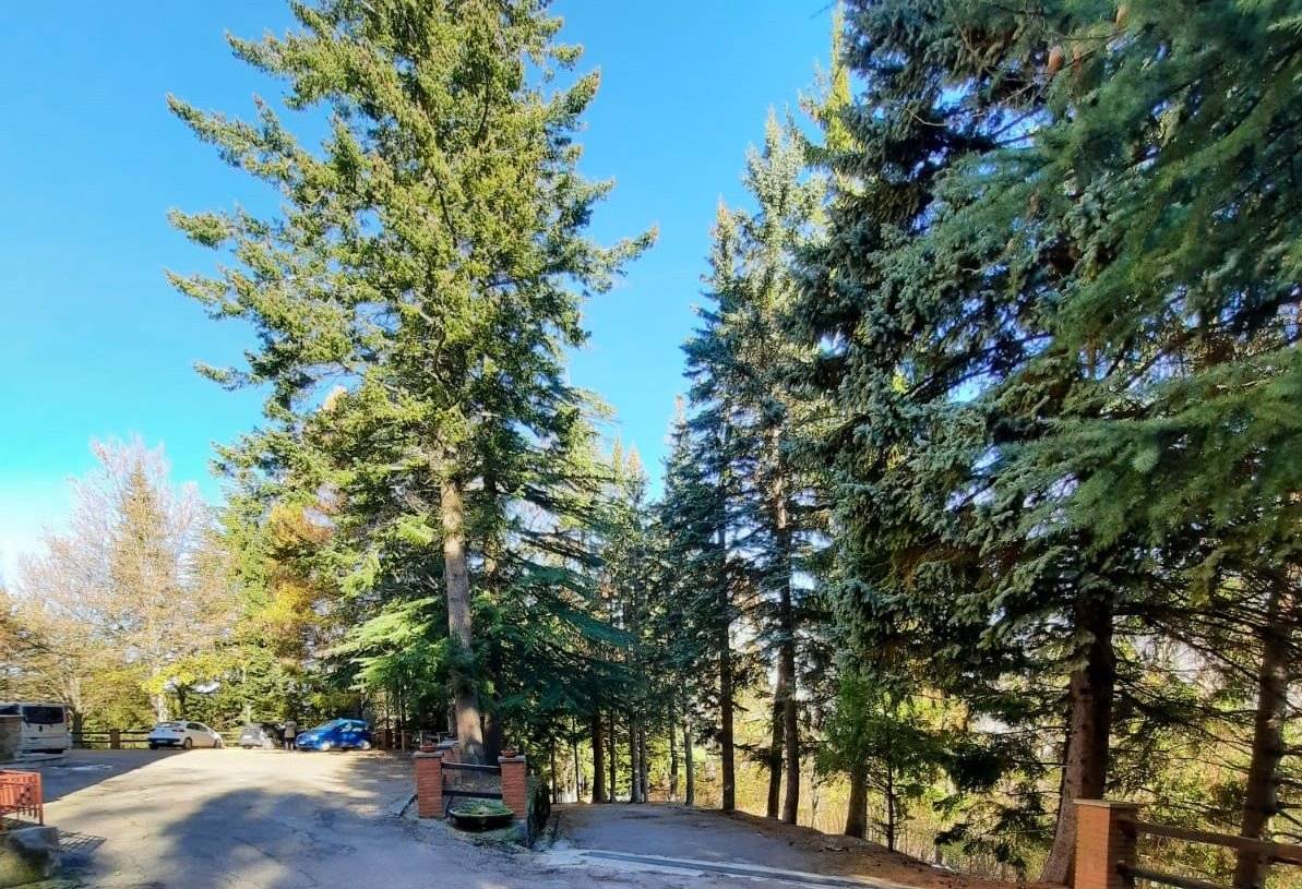 POSTO AUTO POSTO AUTO