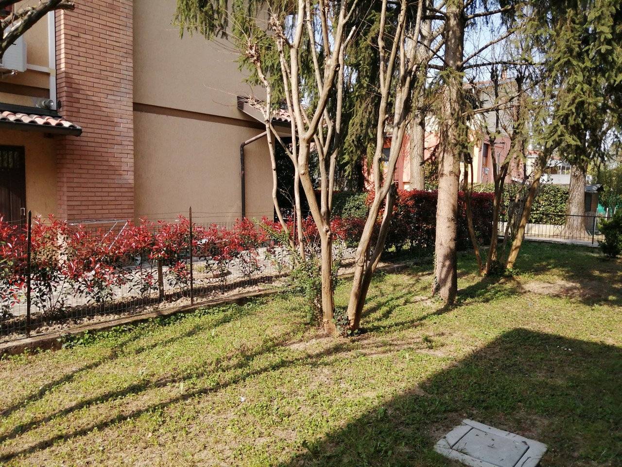 img 20210329 152447
