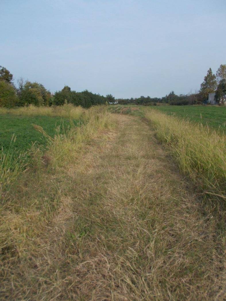 Strada di accesso