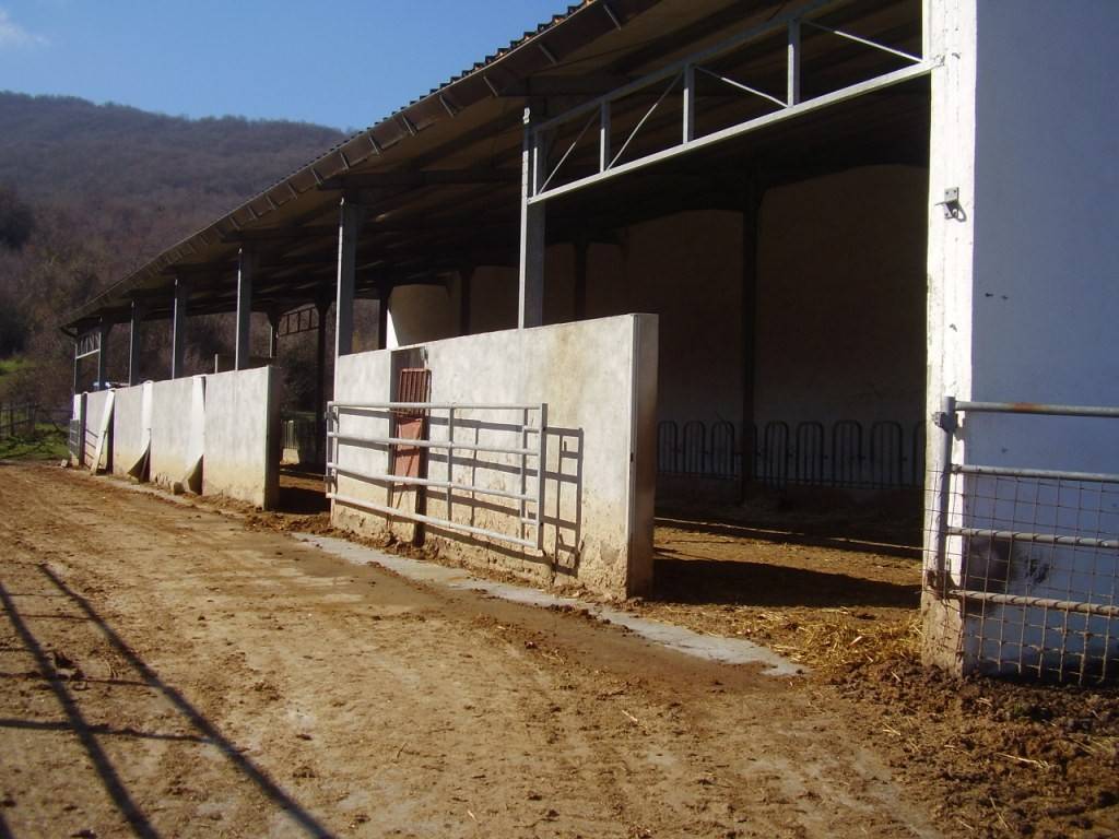 proponiamo in vendita una Azienda Agricola con Reddito Certificato di circa 140mila Euro all'anno. unico corpo di circa 330 ettari, 70 ettari di 