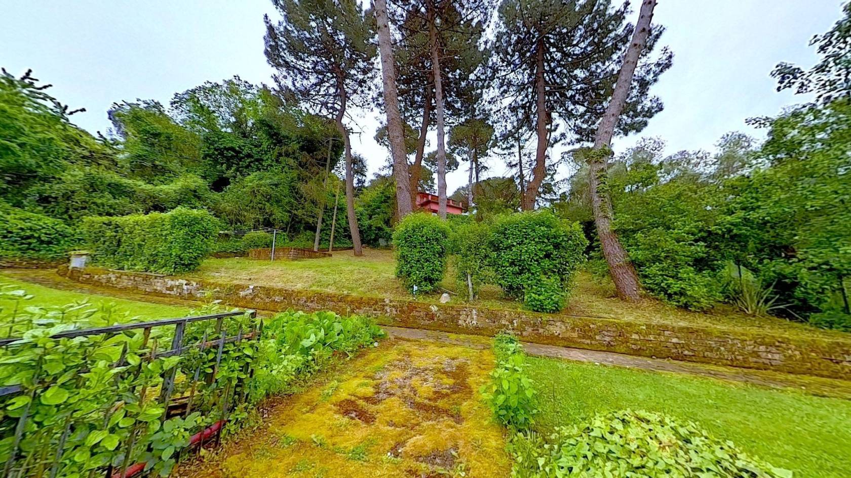 giardino
