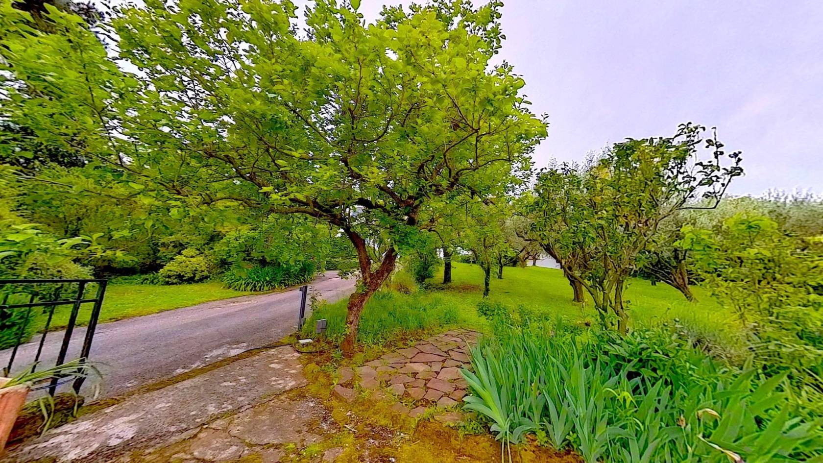 giardino