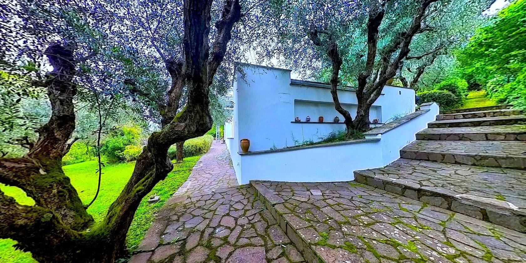 giardino