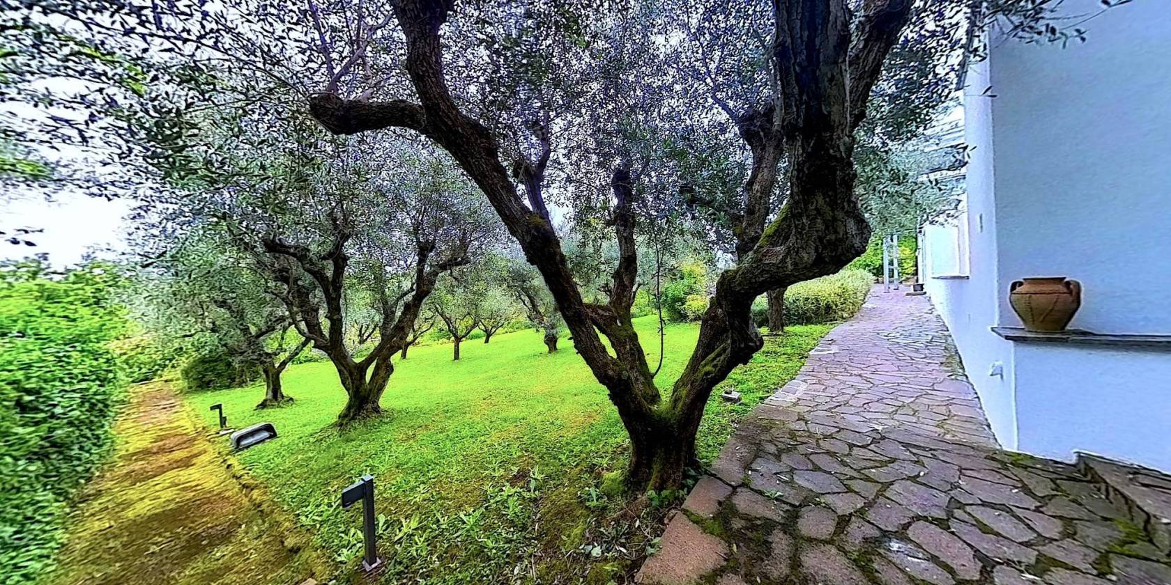 giardino