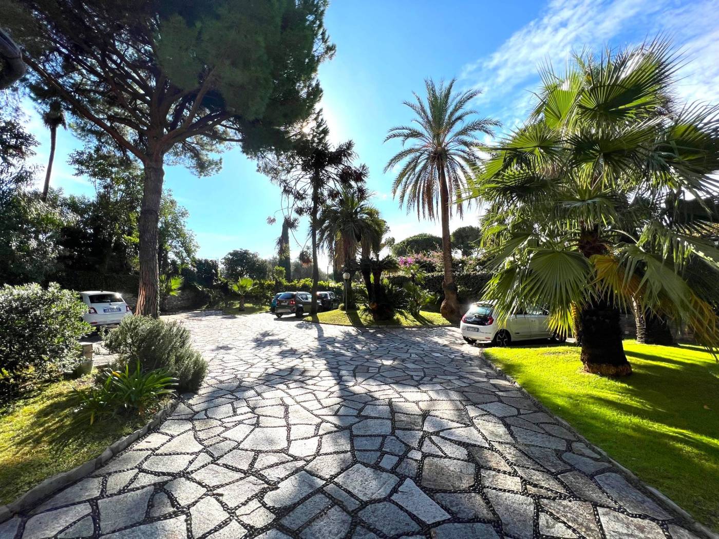 Il giardino comune