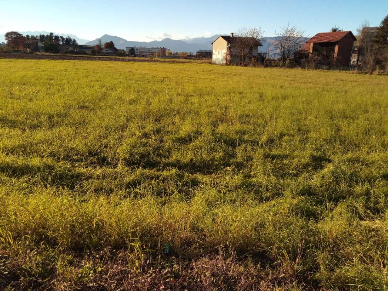 terreno residenziale venaria 3