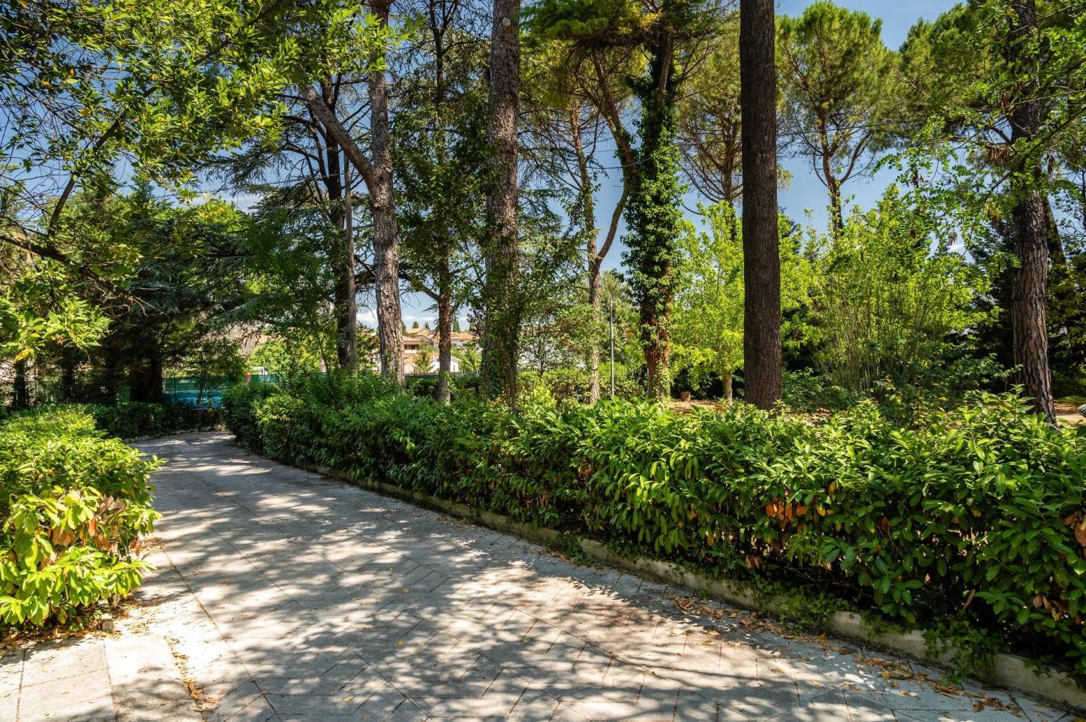 Viale di accesso ai posti auto_2