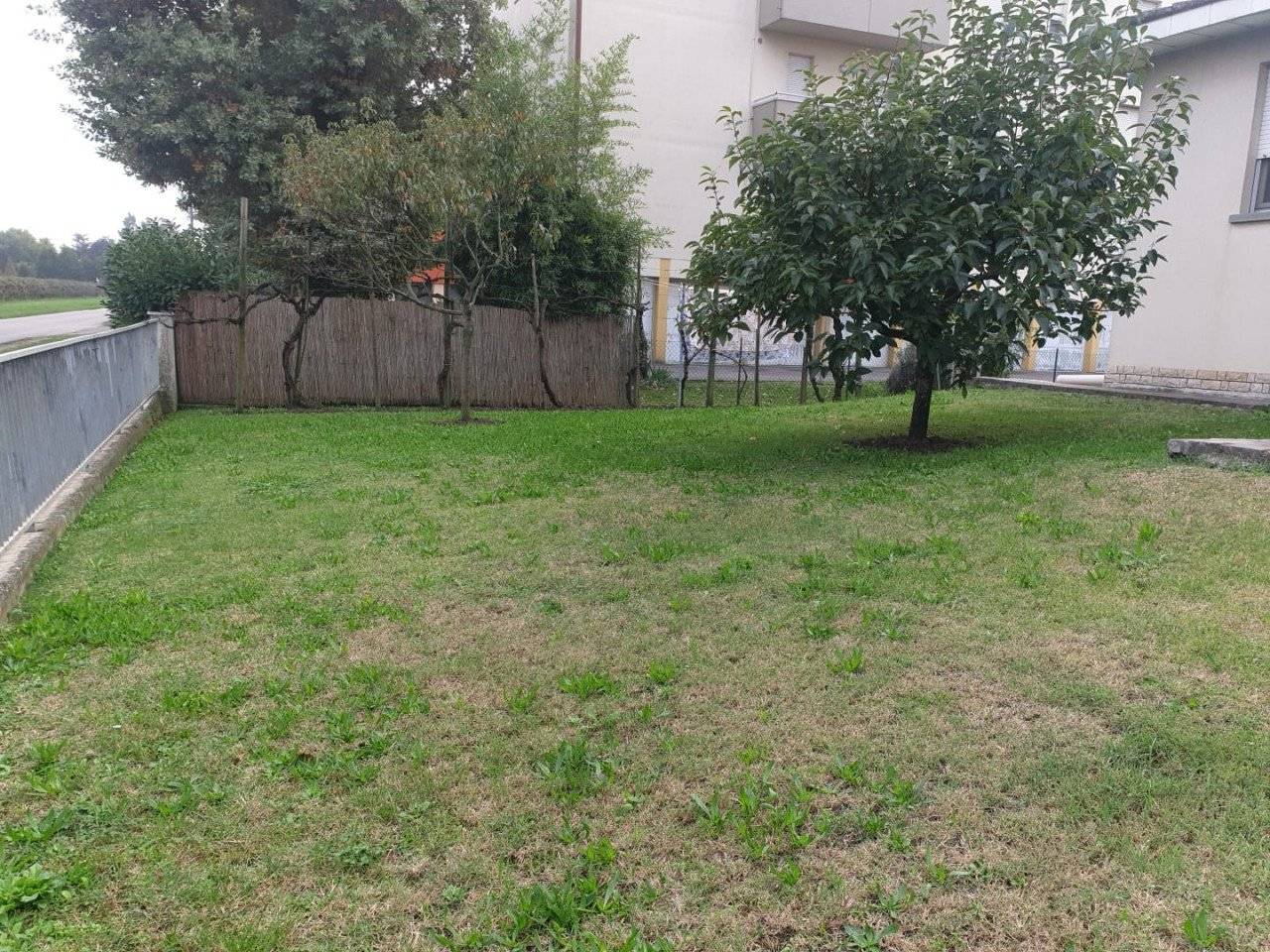 img 20231214 wa0198