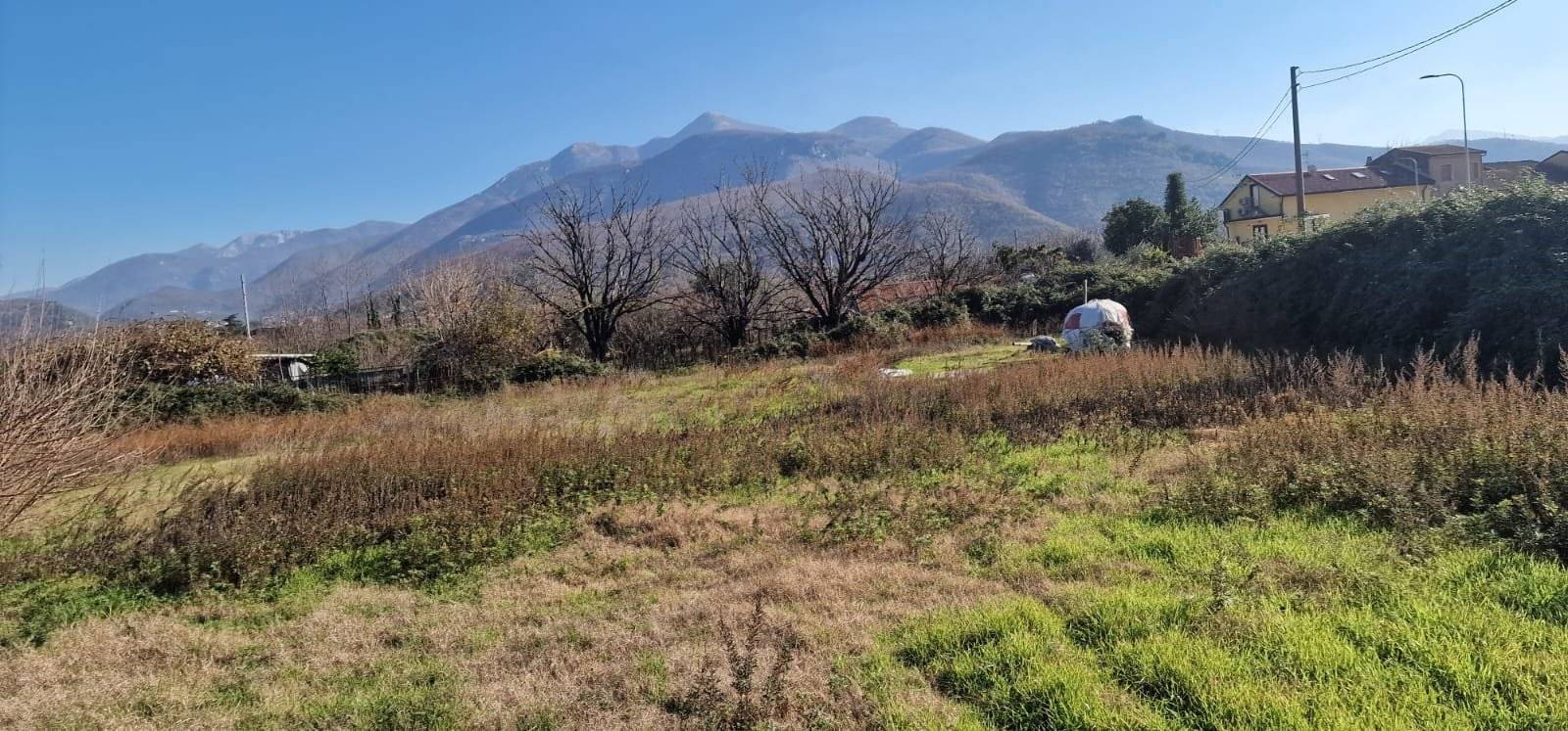 Terreno