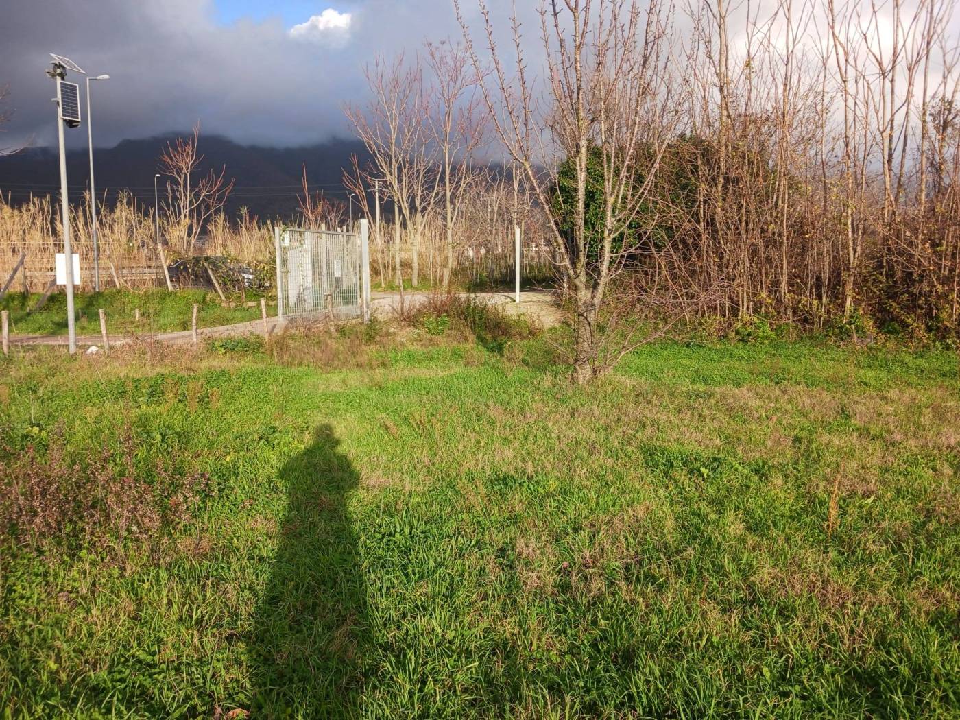 Terreno