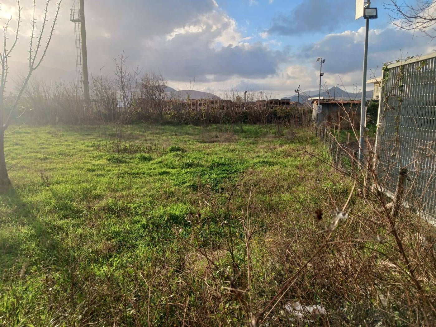 Terreno