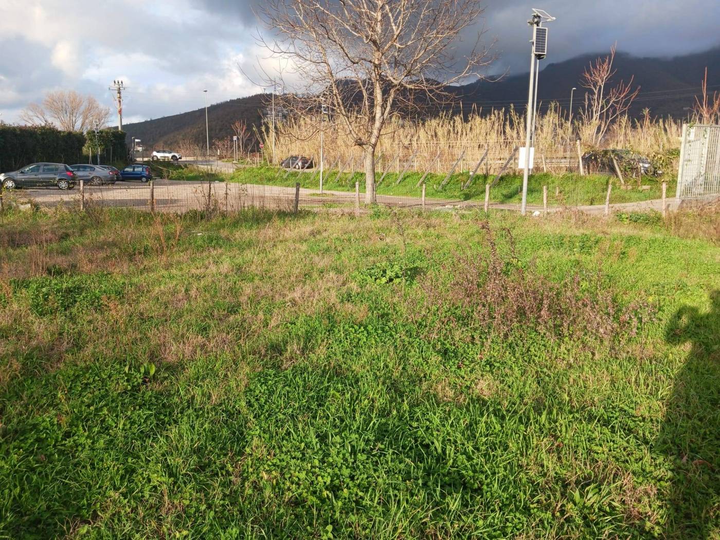 Terreno