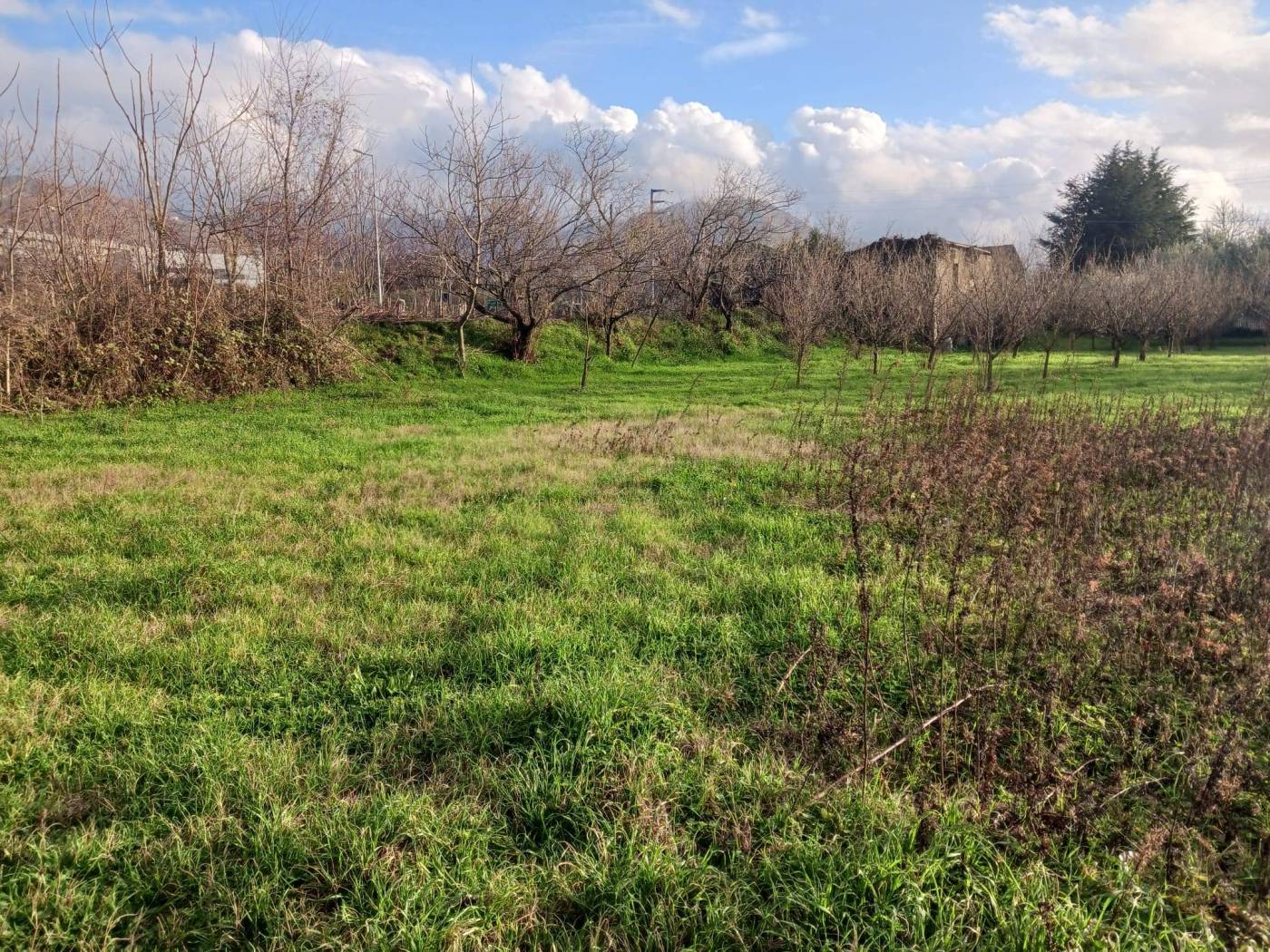 Terreno