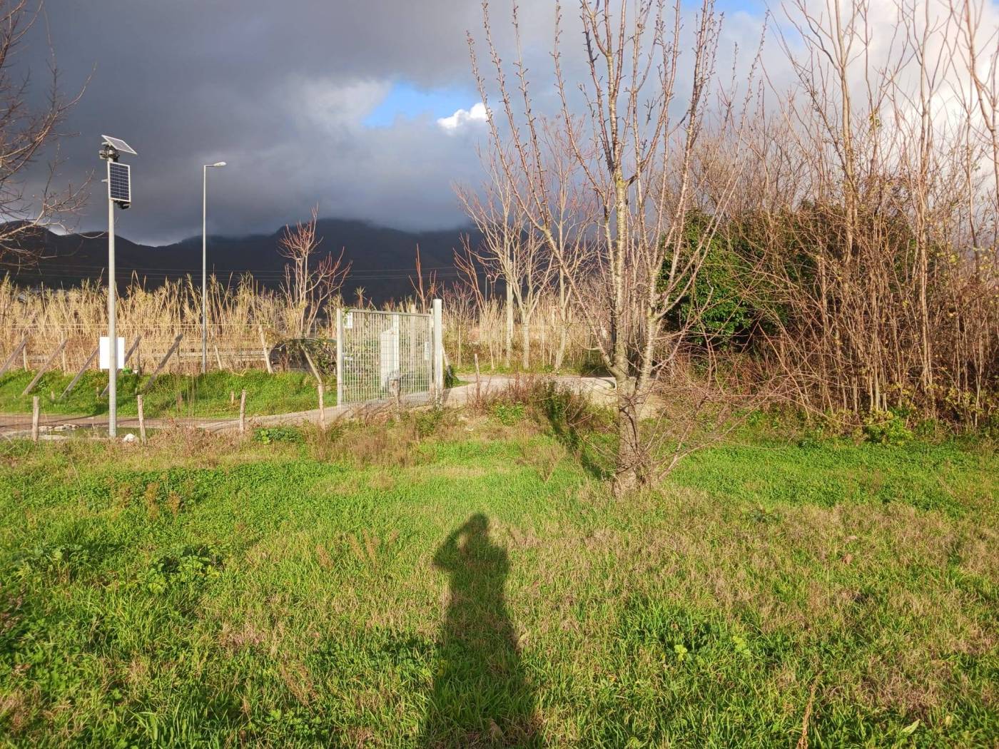 Terreno
