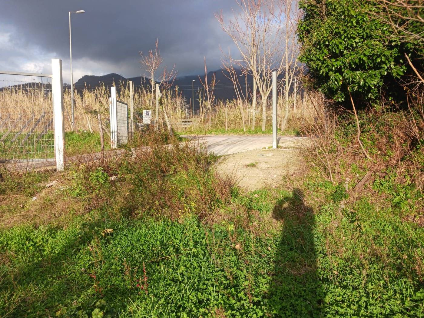 Terreno
