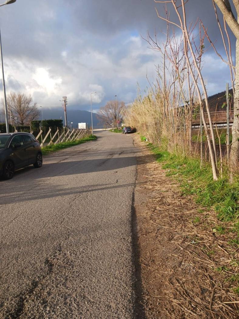 Terreno