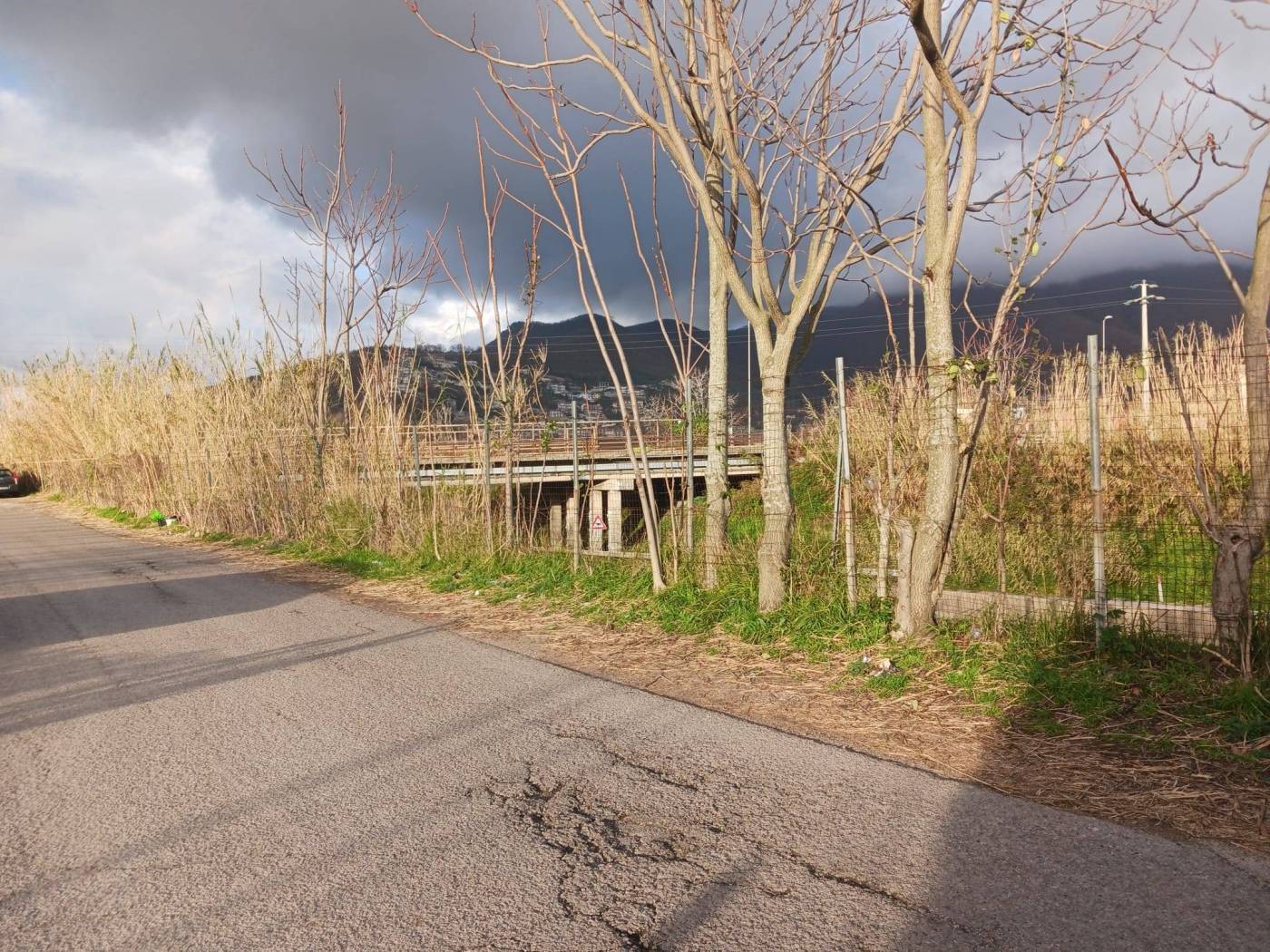 Terreno