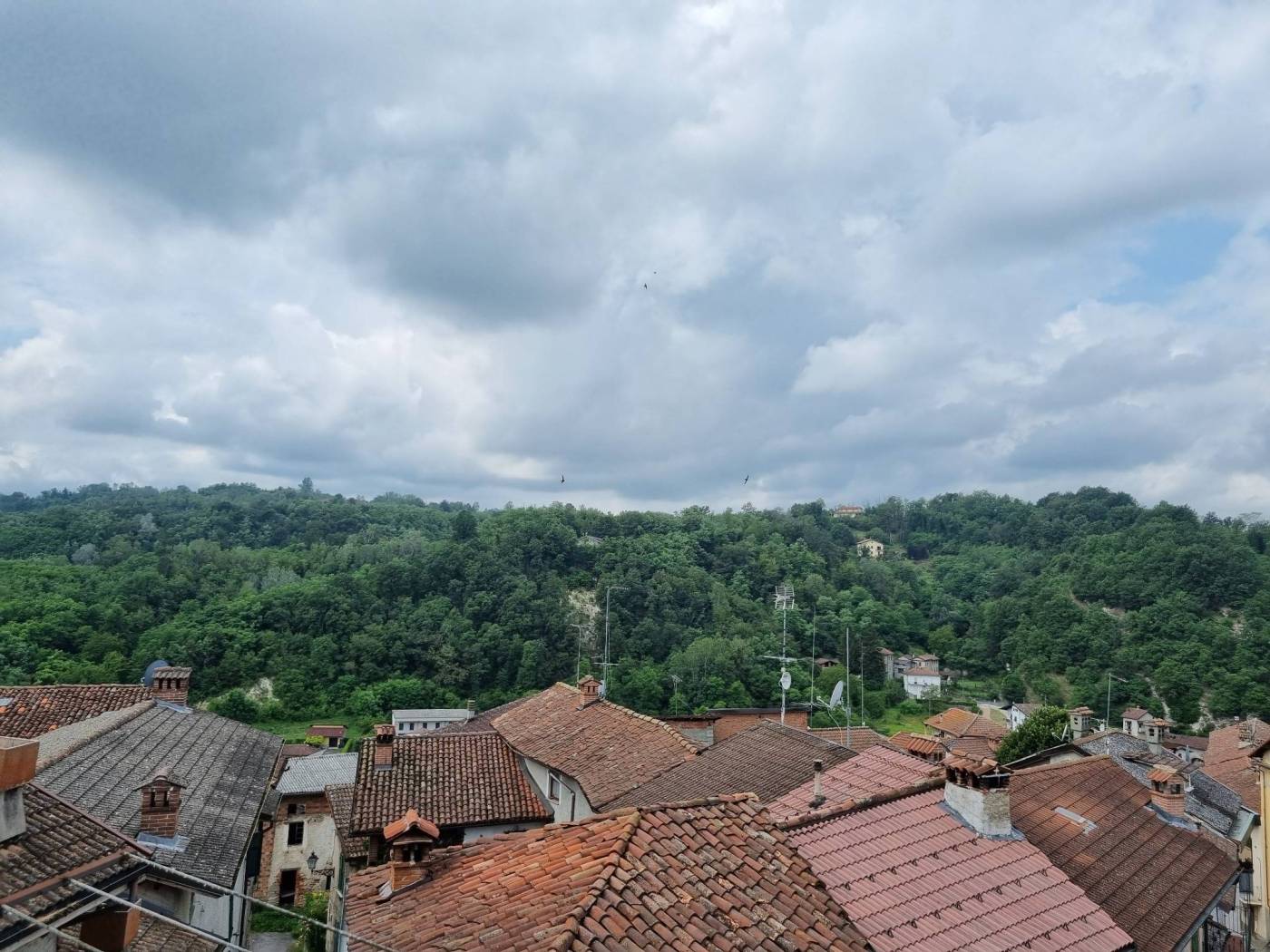 Vista