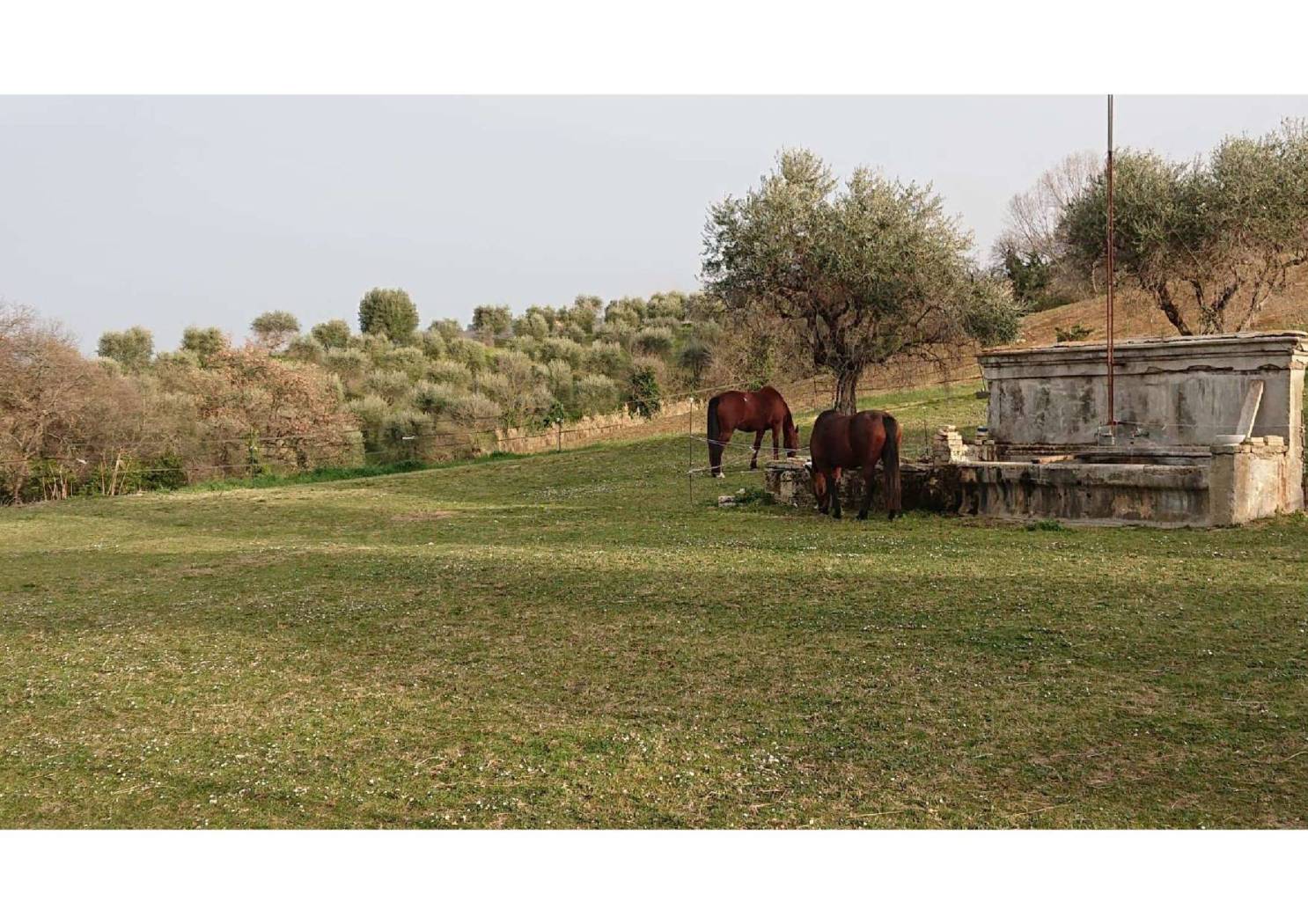 casale
