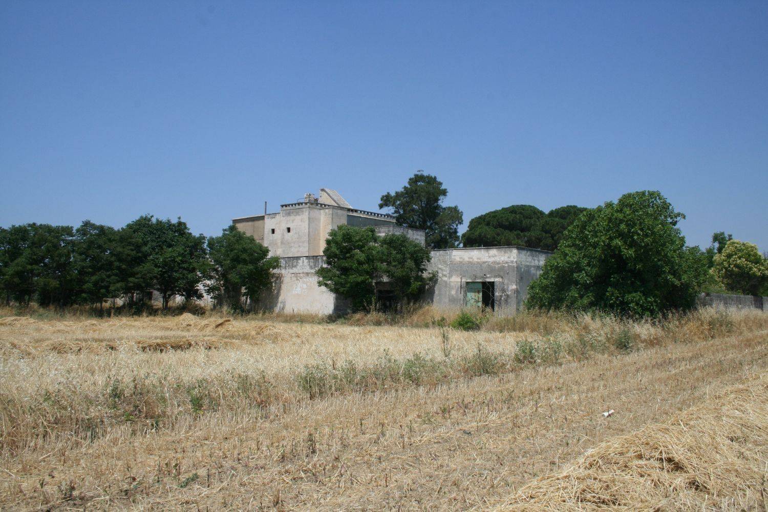 Terreno