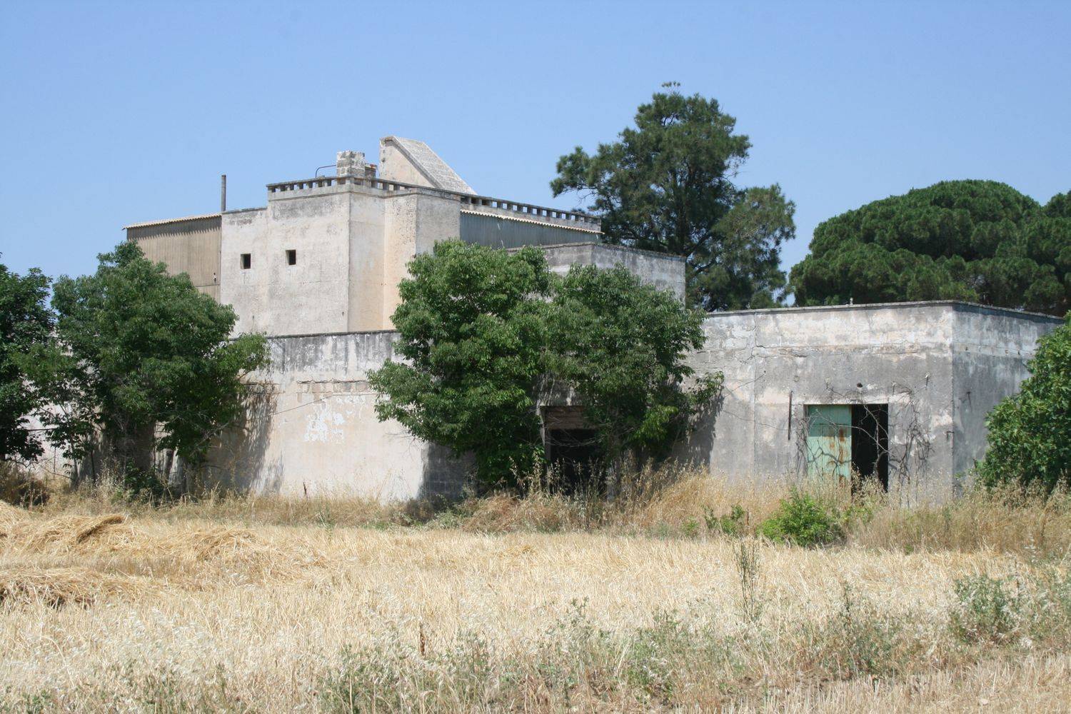Terreno