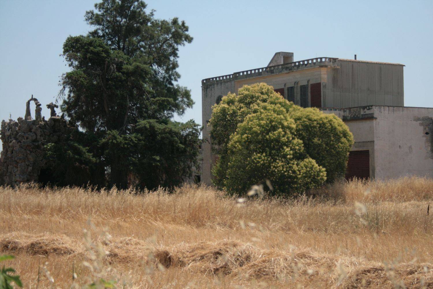Terreno