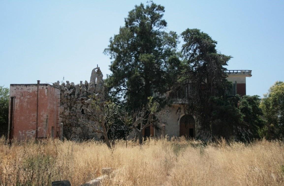 Terreno