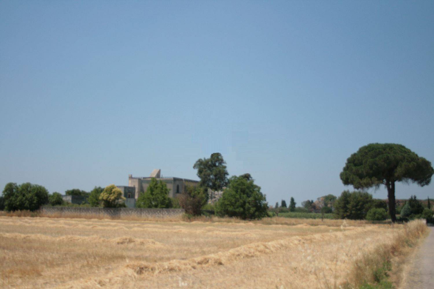 Terreno