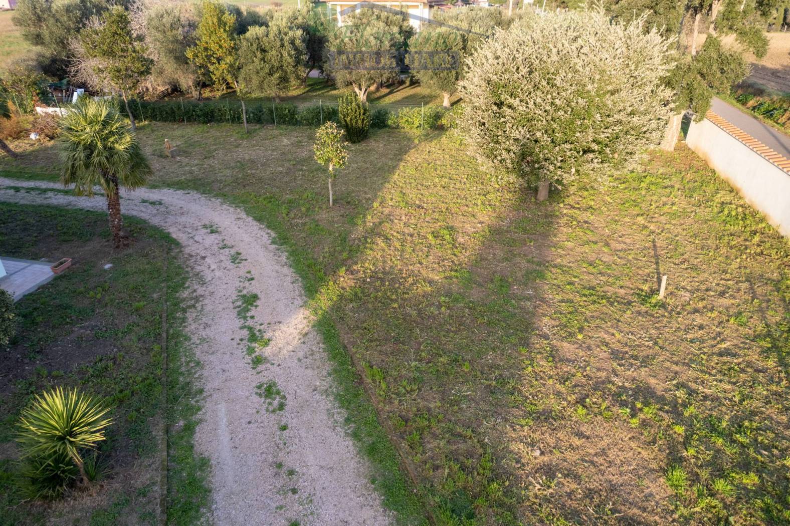 Giardino