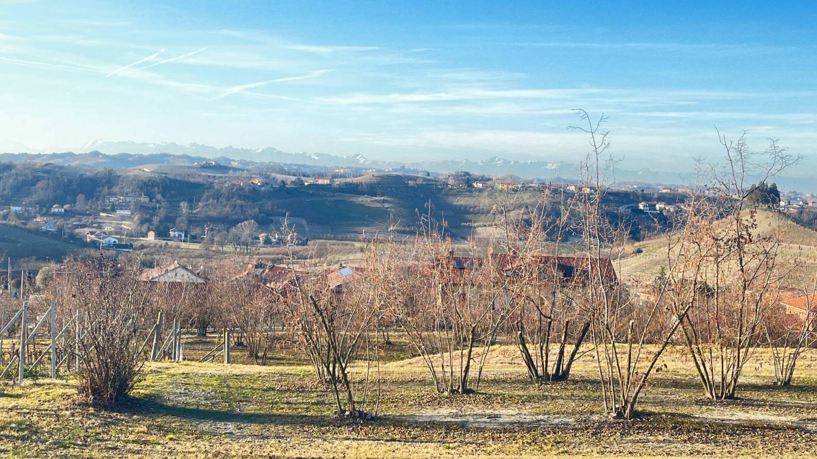 Vista Vista