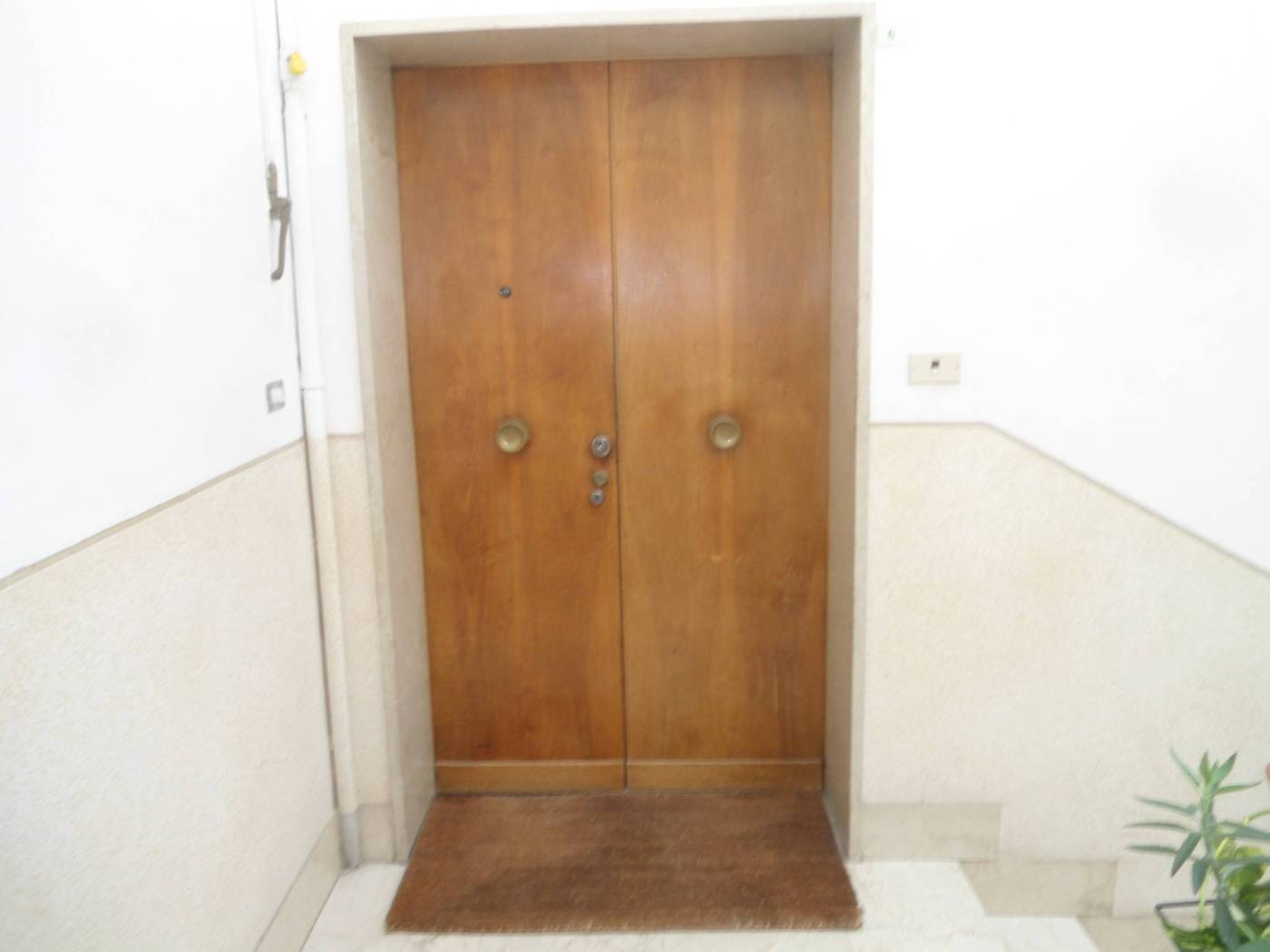 INGRESSO