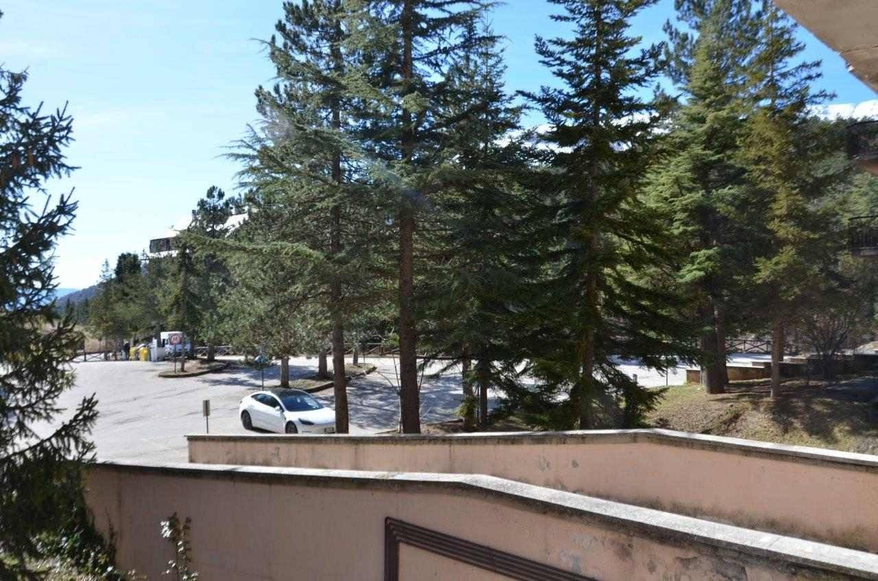Vista