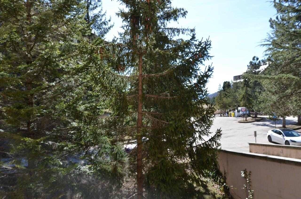 Vista