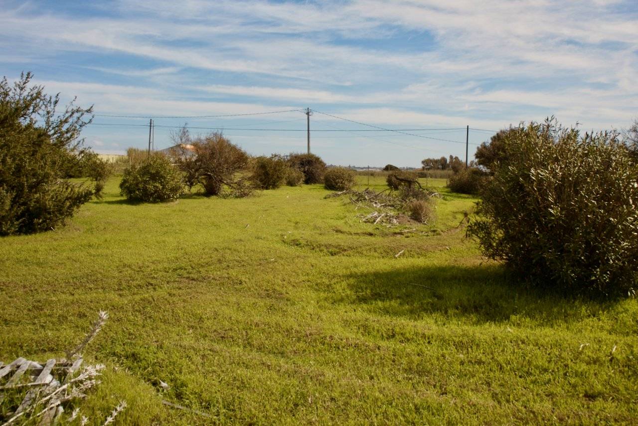 Terreno