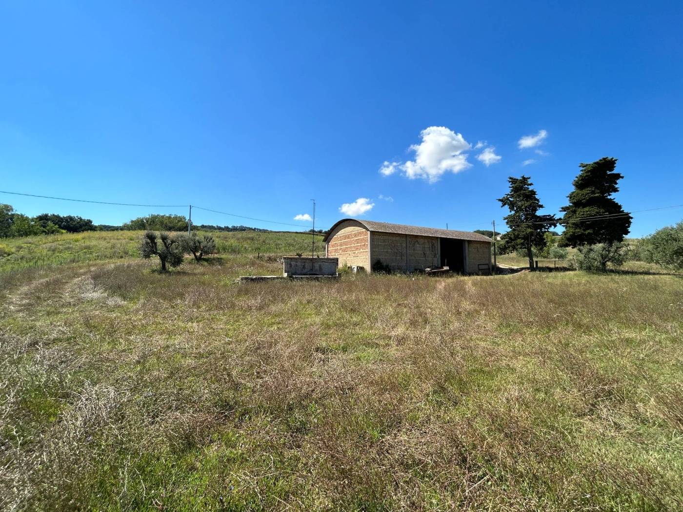 casale