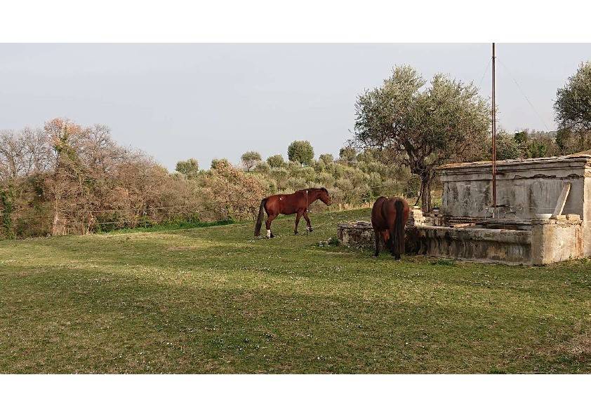 casale