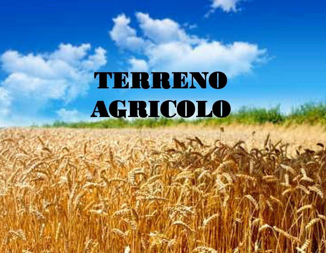 TERRENO AGRICOLO A CORPO UNICO TERRENO AGRICOLO A CORPO UNICO