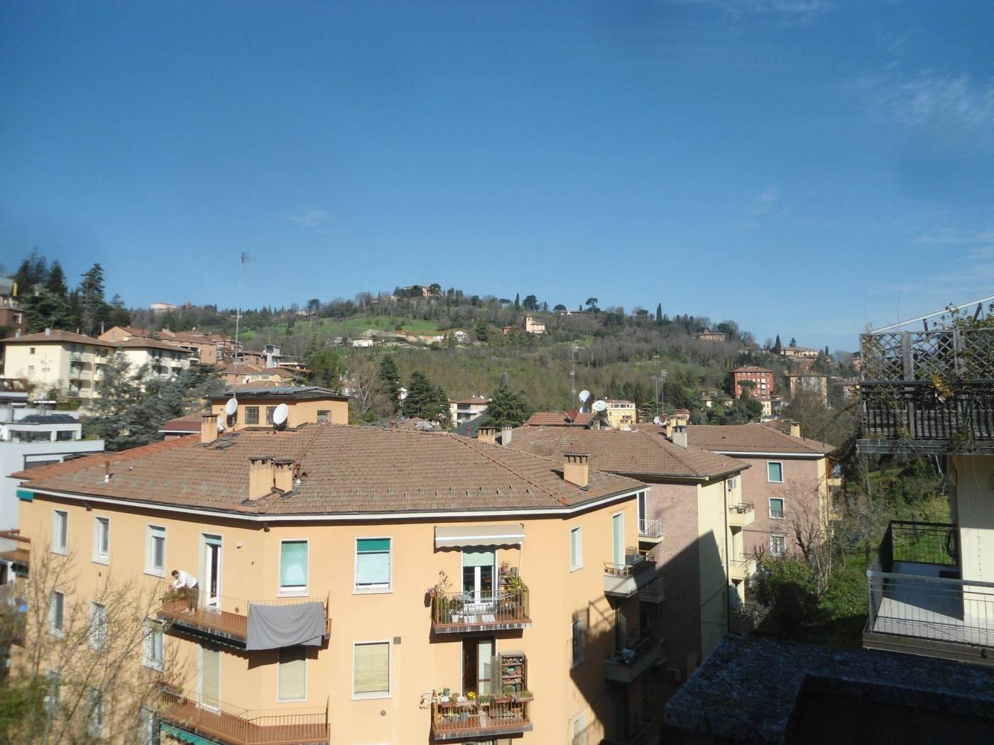 PANORAMA