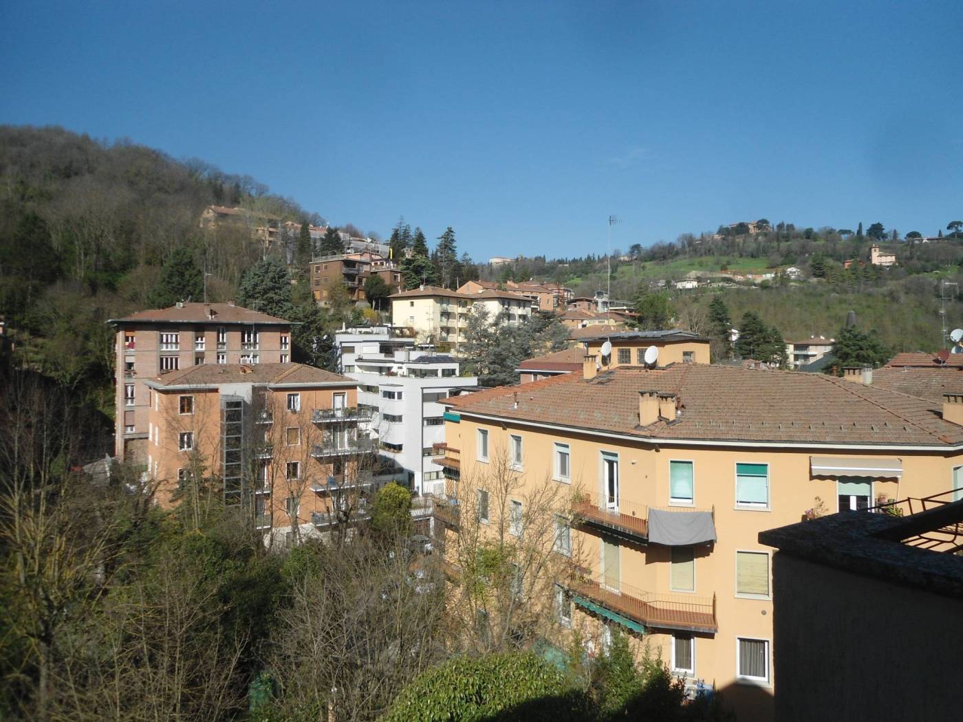 PANORAMA