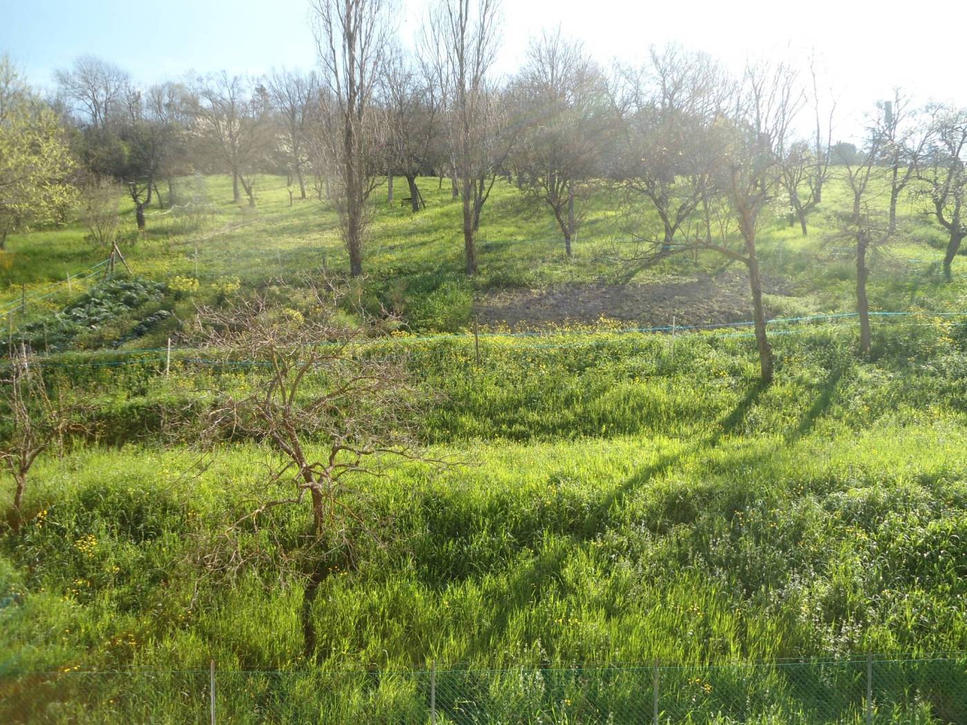 PANORAMA DA CAMERA