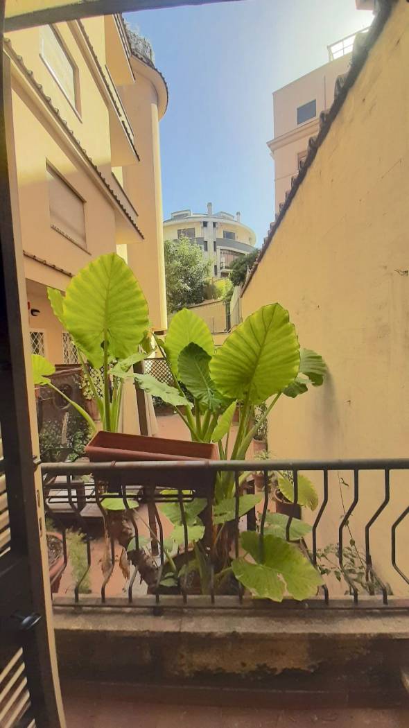 Balcone