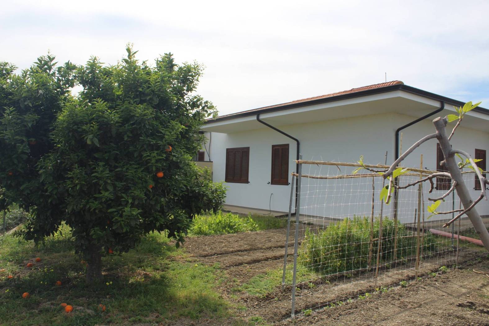 Bellissimo Casale in Vendita a San Nicola-Rocca Imperiale Marina, una casa indipendente su un unico livello con un ampio giardino di circa 400 mq con 