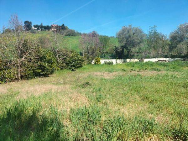 Terreno