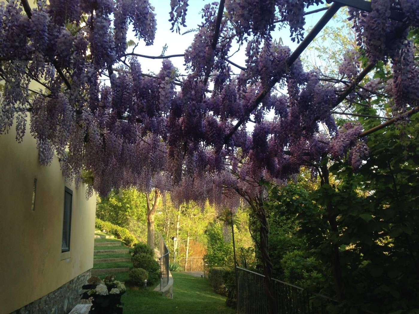 Giardino