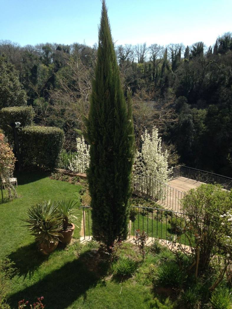 GiardinoGiardino