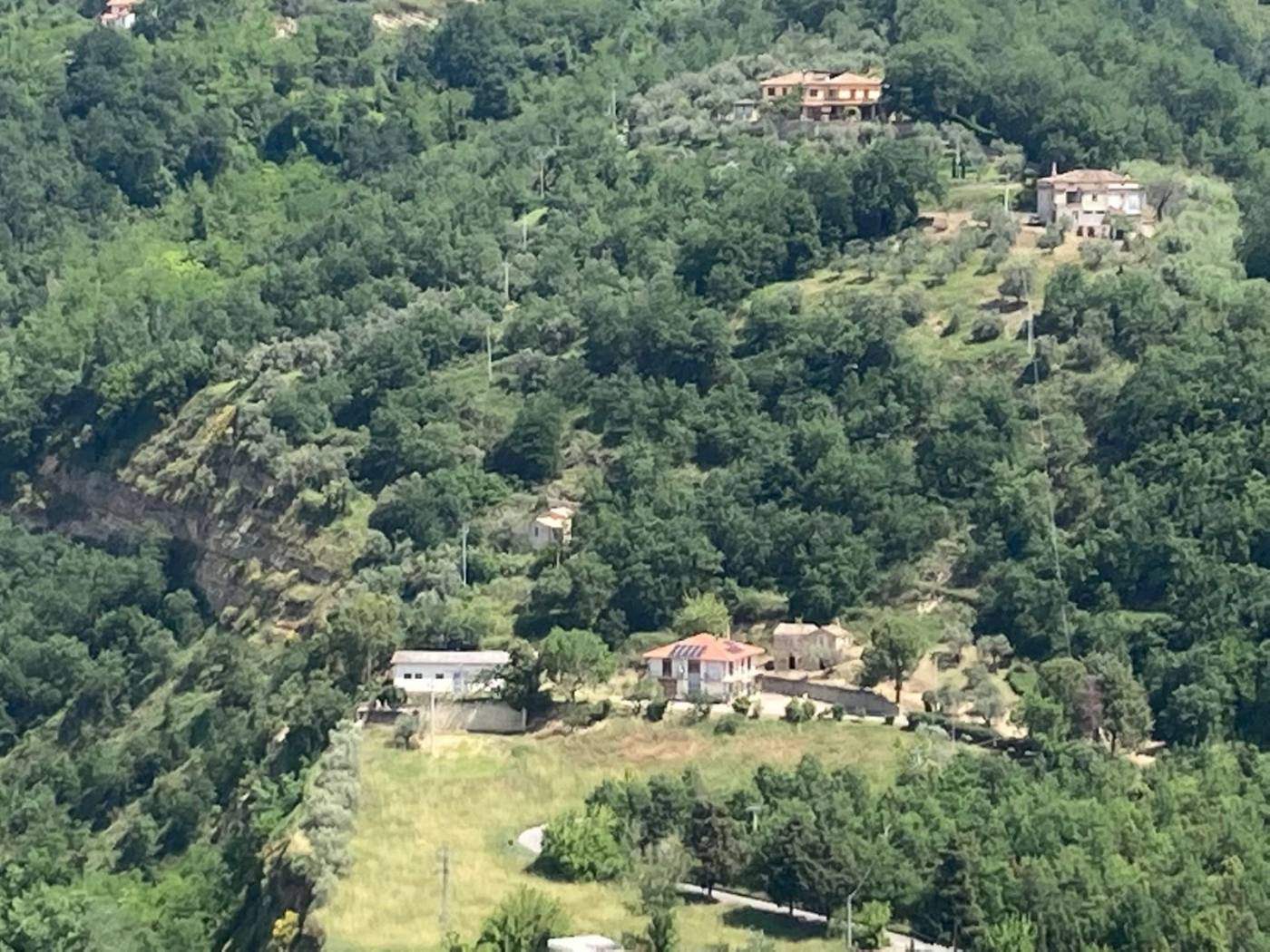 Vista