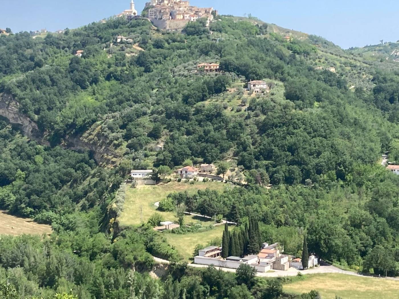 Vista