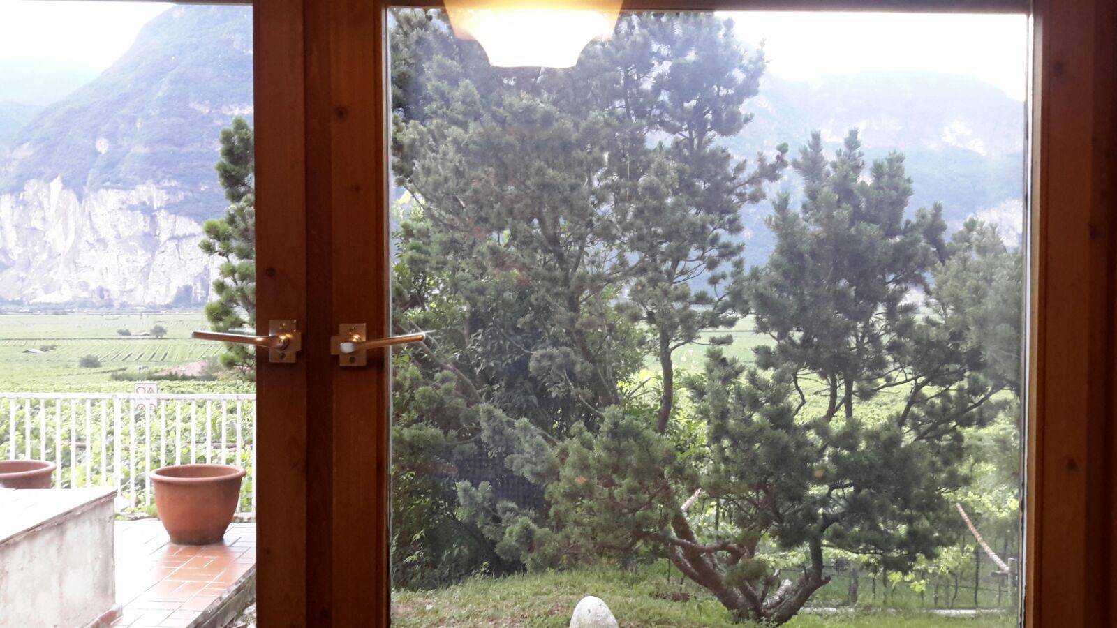Vista