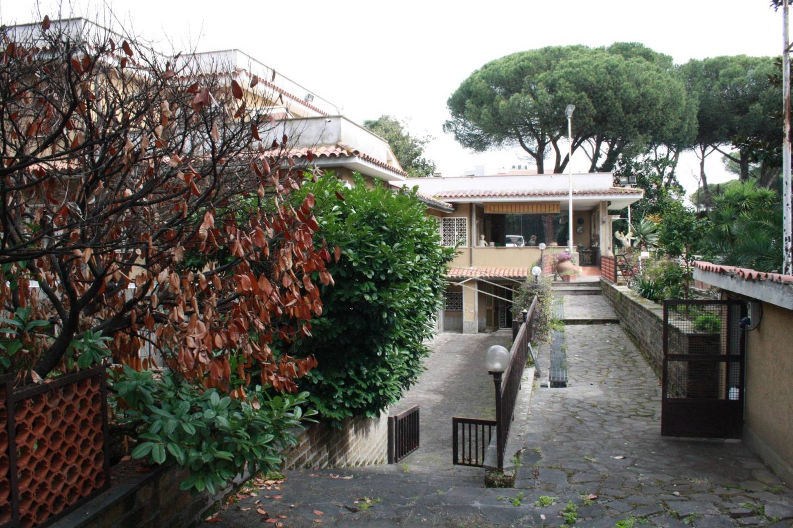 Giardino