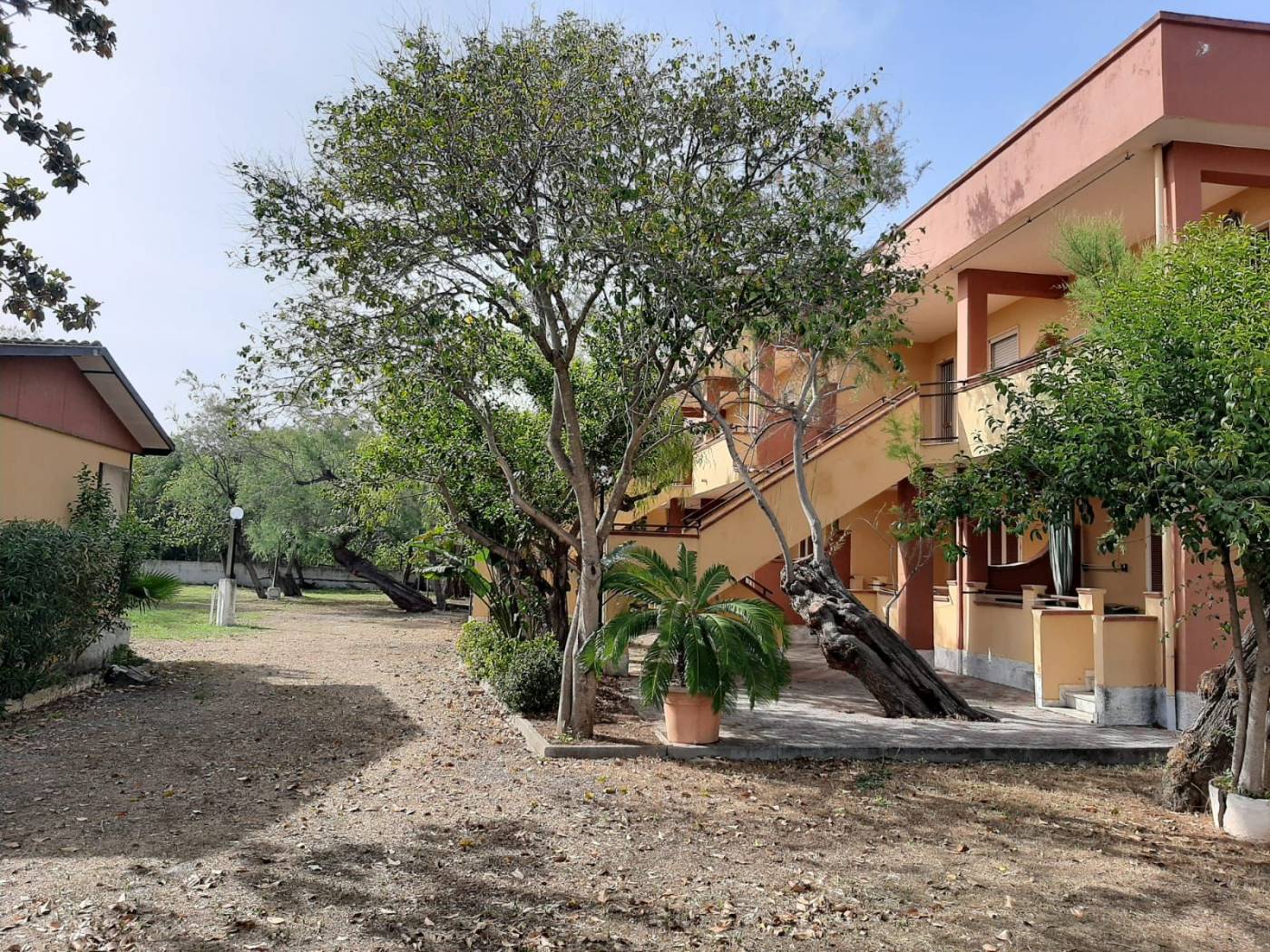 Giardino